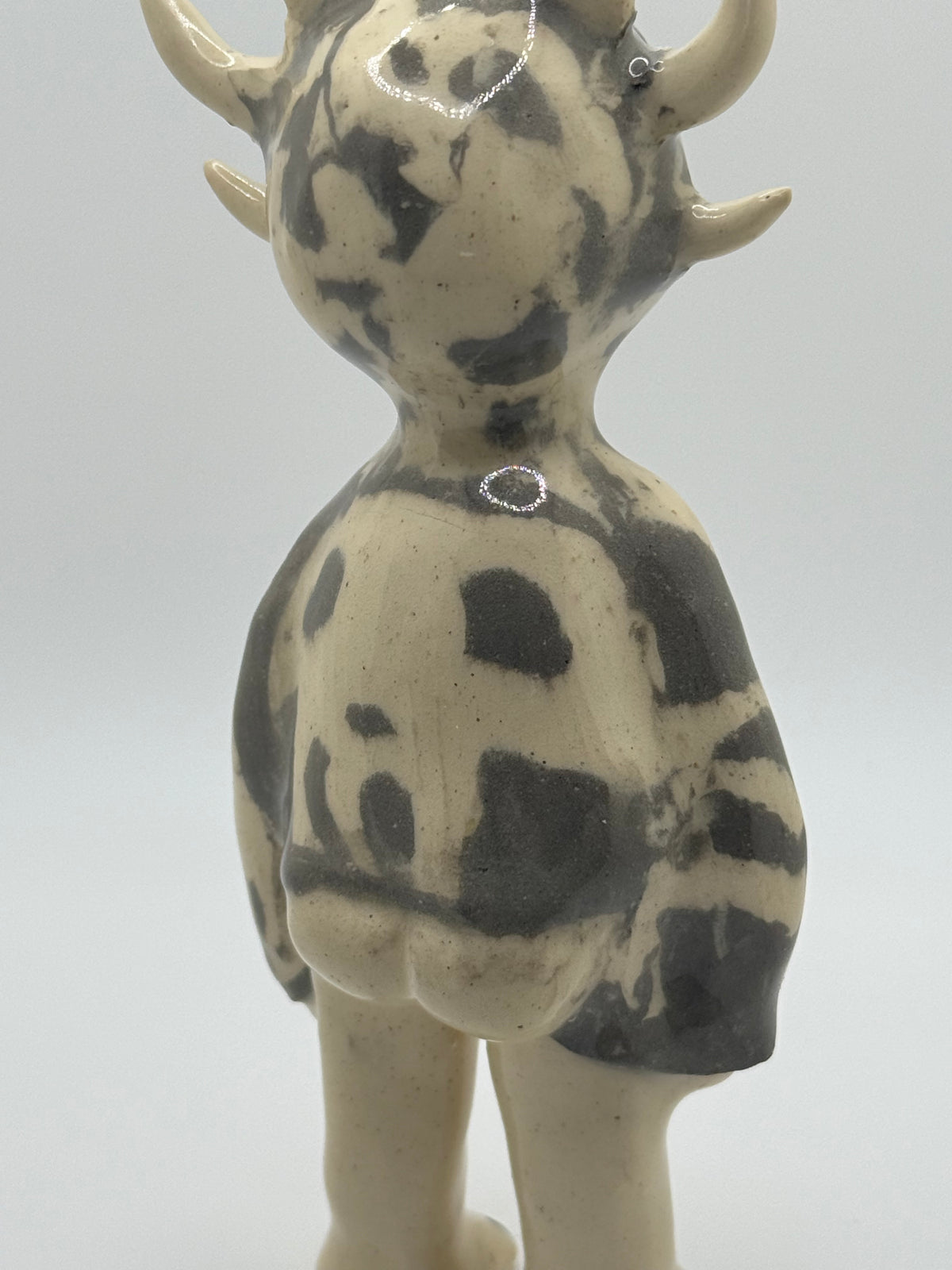 Good boy with Swag